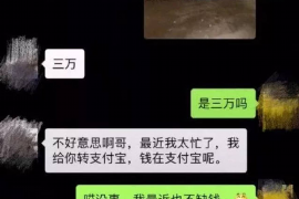 调解和催收的区别：理解两者在债务管理中的角色